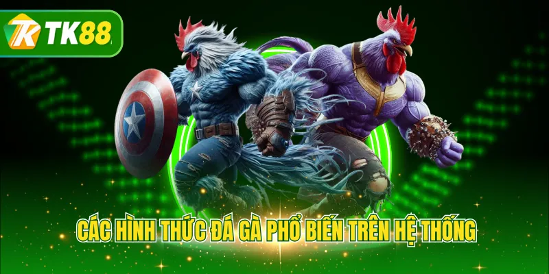 Các hình thức đá gà phổ biến trên hệ thống