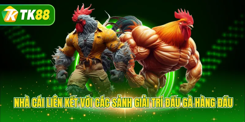 Nhà cái liên kết với các sảnh giải trí đấu gà hàng đầu 