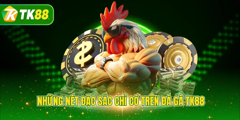 Những nét đặc sắc chỉ có trên đá gà TK88 